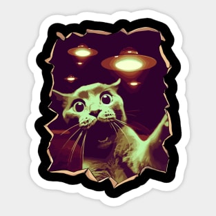 Funny Cat Selfie With UFOs Behind Sticker